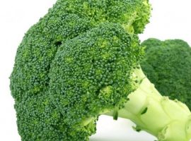 Brokoli