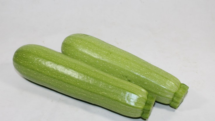 Vildan F1